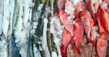 ФАО: С товарной рыбой и морепродуктами часто связаны случаи мошенничества