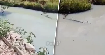 Экологи начали расследование в связи с возможным загрязнением реки Бэлцата