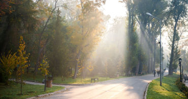 На вторник "бабье лето" задержится в Молдове: в среду станет прохладнее