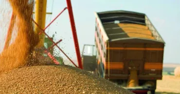 Украина может начать транспортировку зерна через Молдову