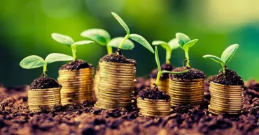 В апреле AIPA выделило аграриям свыше 84 млн леев