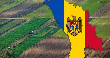 Молдова просит ЕС разрешить ограничивать покупку земли иностранцами на 30 лет