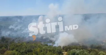 Puternic incendiu de vegetație în Chișinău: Pompierii au localizat arderea