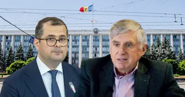 Ион Стурза призвал Василе Тофана «вернуться к бензопиле»