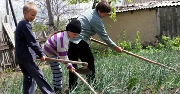 Fenomen îngrijorător: Unul din 13 copii este nevoit să muncească