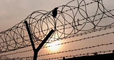 Исполнение наказаний в виде лишения свободы будет реформировано
