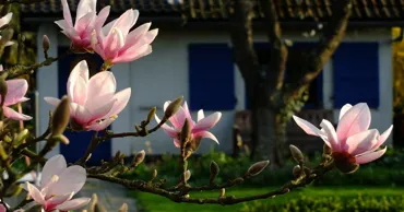 В выходные ожидается до +24 ℃, местами возможны дожди