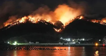 В Японии 1 400 пожарных борются с масштабными лесными пожарами