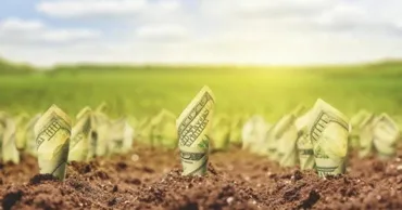 Agricultura, un pilon al economiei: Sectorul a depășit 25 de miliarde de lei