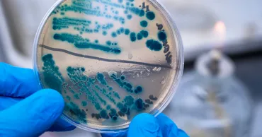 Ученые нашли способ снизить «заразность» гриппа вдвое