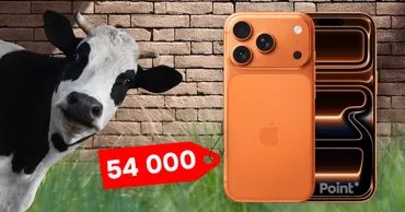 La prețul unui iPhone 17 Pro Max poți cumpăra trei vaci în Moldova