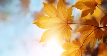 Meteo 27 septembrie 2026: Cer variabil în toată țara. Ce maxime vom avea