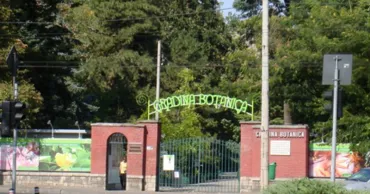 Nuferi, trandafiri și hortensii în floare: Atracțiile verii la Grădina Botanică