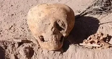 Câțiva muncitori din Argentina au găsit rămășițe ale „omului-furnică”: Craniul are o formă neobișnuită