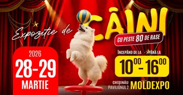 В Кишиневе состоится выставка собак 28-29 марта Ⓟ
