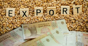 Экспорт молдавской пшеницы превысил 2 млрд леев