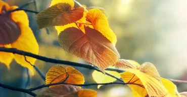 Meteo 21 octombrie 2026: Cer variabil în toată țara. Temperaturile prognozate