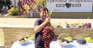 Festivalul Strugurelui de la Cimișlia: Un ciorchine de 3,9 kg a luat marele premiu