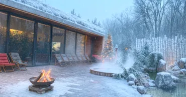 В Новый год с новым состоянием души и тела вместе с Woloshin banya Ⓟ