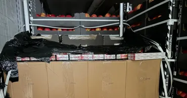 Un camion care transporta milioane de țigări de contrabandă, reținut la ieșirea din Moldova