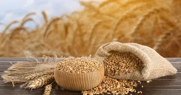 Forța Fermierilor cere prelungirea licențierii importurilor de cereale