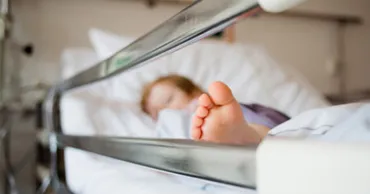 Состояние ребенка, на которого упала ветка в зоопарке, остается тяжелым