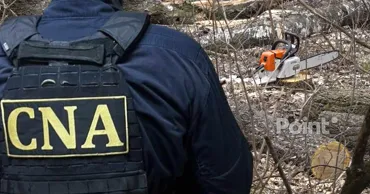 Задержан ещё один подозреваемый по делу о фиктивных трудоустройствах в Moldsilva