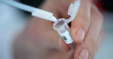 Германия больше не будет требовать обязательных тестов от приезжих из "красных зон".