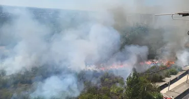 25 de hectare de vegetație au ars ieri pe strada Grenoble din Chișinău