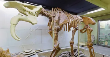 Музеи Молдовы в определенные дни месяца можно посещать бесплатно