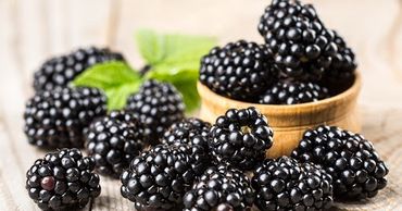 Активный экспорт поддерживает цены на ежевику на высоком уровне. Фото: east-fruit.com