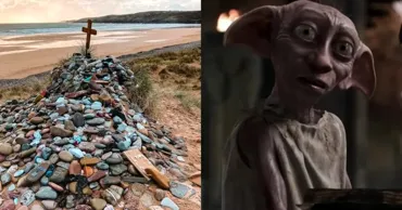 Fanii Harry Potter au salvat „mormântul” lui Dobby de un proiect energetic uriaș