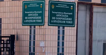 Мэрия Кишинева меняет руководство Spațiilor Verzi: Брага назначена временным директором