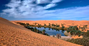 Sahara va înverzi până la sfârșitul secolului: Climatologii prevăd o eră ploioasă în Africa