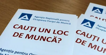 С начала года ANOFM помогла с трудоустройством более 20 тыс. человек