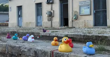Moldova a luat bronzul la o competiție inedită cu rățuște în Italia