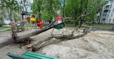 В Кишинёве сухое дерево рухнуло на детскую площадку