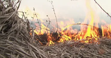 В Молдове продлен "желтый уровень" опасности в связи с риском пожаров