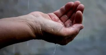 Tot mai multe cazuri de „boala ploii” în Europa. Cum se manifestă