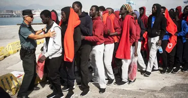 Число мигрантов в ЕС достигло 64,2 миллиона человек