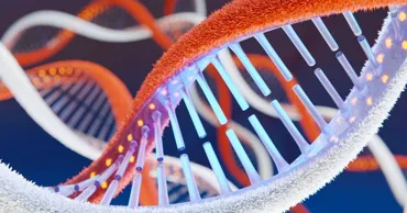 Oamenii de știință au demonstrat că ADN-ul poate fi creat „de la zero”