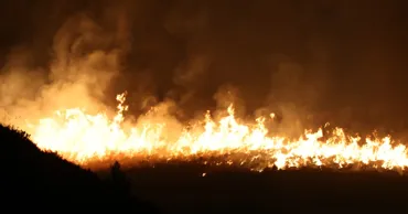 Incendiile de vegetație afectează sudul Italiei. Stare de urgență în Sardinia