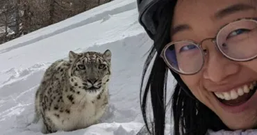 O femeie din China, la un pas de moarte în timp ce își făcea un selfie cu un leopard în zăpadă