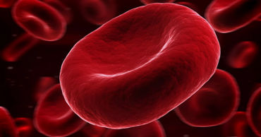 Ученые создали универсальную группу крови: решит проблему с донорами