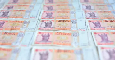 Субсидии на сумму 178 млн леев для сельхозпроизводителей одобрены AIPA в мае