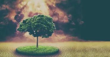Secretarul general ONU cere acțiuni pentru a aborda crizele climatice și energetice