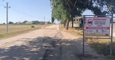 Carantină în Vulcănești din cauza pestei porcine africane