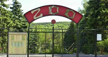 Кишиневский зоопарк закупит корм для животных почти на миллион леев