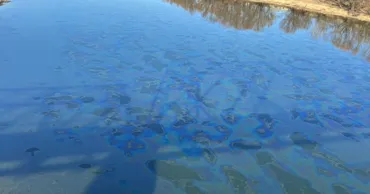 Минэкологии: Ущерб от загрязнения Днестра может составить миллиарды леев