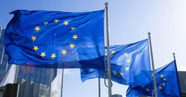 В Ирландии выступили за пересмотр права вето в ЕС в период её председательства